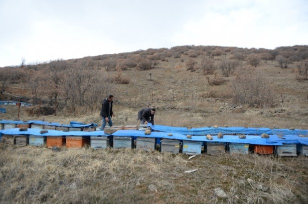 Foto - Şehirde kuraklığın bal üretimini düşürmesinden endişe ediliyor
