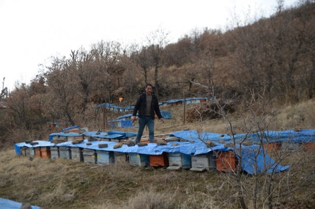 Foto - Şehirde kuraklığın bal üretimini düşürmesinden endişe ediliyor