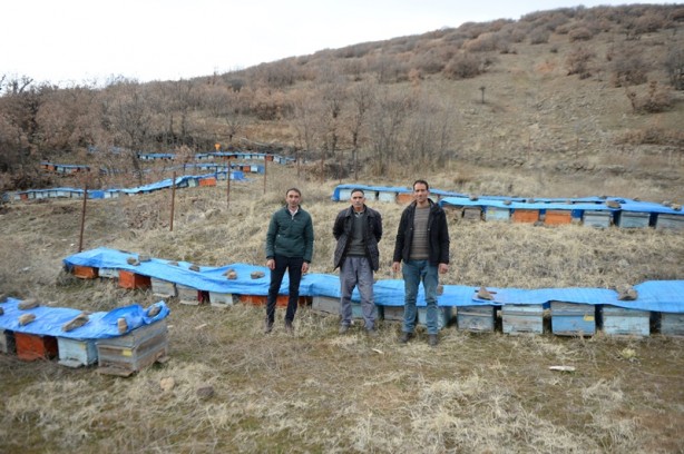 Foto - Şehirde kuraklığın bal üretimini düşürmesinden endişe ediliyor