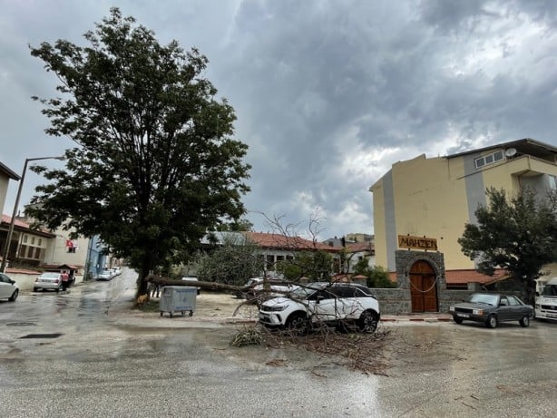 Foto - Şehirde kuvvetli rüzgar ve sağanak! Ağaçlar devrildi