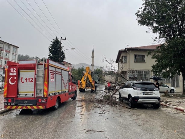 Foto - Şehirde kuvvetli rüzgar ve sağanak! Ağaçlar devrildi