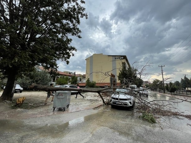Foto - Şehirde kuvvetli rüzgar ve sağanak! Ağaçlar devrildi