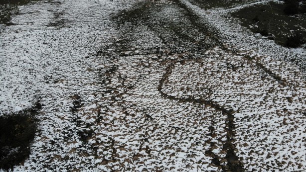 Foto - Şehirde Nisan ayında kar sürprizi