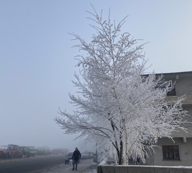 Foto - Şehirde sis ve kırağı
