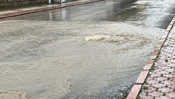 Foto - Şehirde zor anlar!