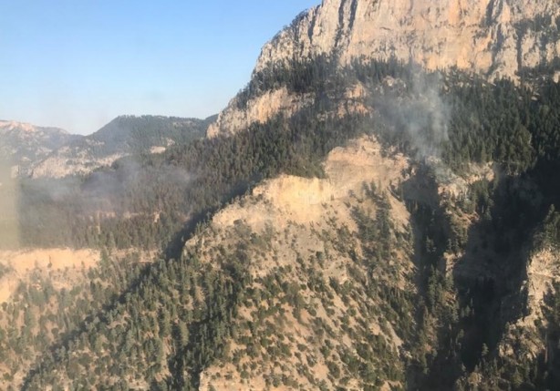 Foto - Şehirdeki orman yangını kontrol altına alındı