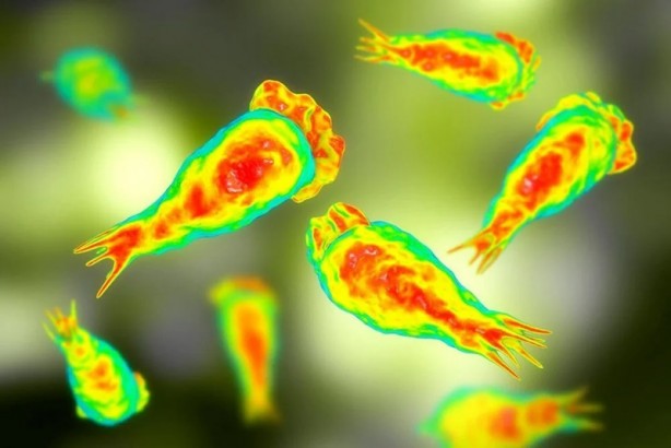 Foto - Şehirdeki tüm fıskiyeler kapatıldı! ABD'de beyin yiyen amip paniği: Bir çocuk hayatını kaybetti