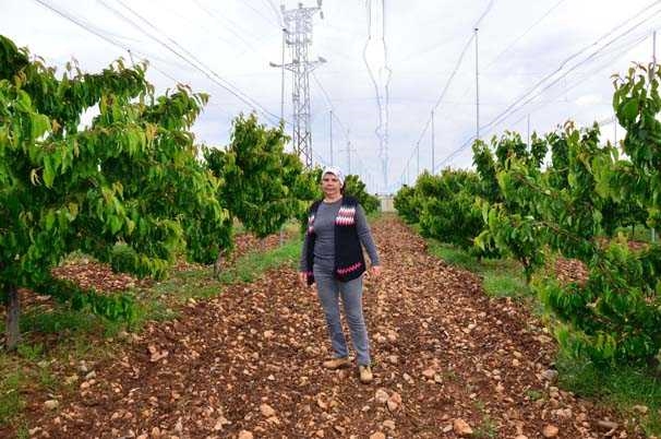 Foto - Şehirden köye geldi, kendi markasını oluşturdu