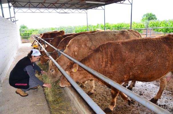 Foto - Şehirden köye geldi, kendi markasını oluşturdu