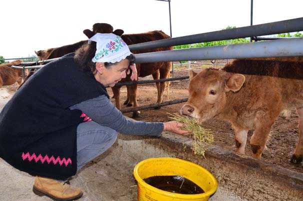 Foto - Şehirden köye geldi, kendi markasını oluşturdu