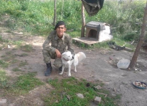 Foto - Şehit askerlerin evine ateş düştü