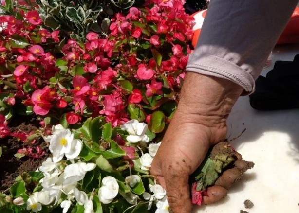 Foto - Şehit Eren Bülbül'ün annesi: "7 yıl 7 bin yıl gibi"