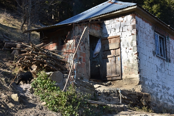 Foto - Şehit Eren Bülbül'ün annesi oğlunun hayatını anlatan filmi böyle yorumladı