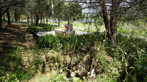 Foto - Şehit mezarının etrafı köstebek yuvasına döndü! 