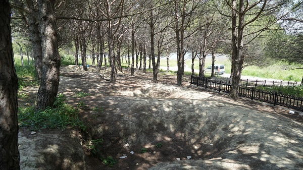 Foto - Şehit mezarının etrafı köstebek yuvasına döndü! 