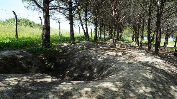 Foto - Şehit mezarının etrafı köstebek yuvasına döndü! 