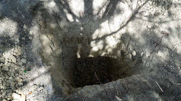 Foto - Şehit mezarının etrafı köstebek yuvasına döndü! 