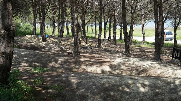 Foto - Şehit mezarının etrafı köstebek yuvasına döndü! 