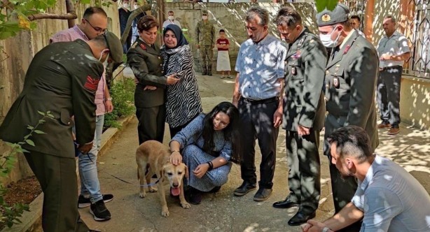 Foto - Şehit onbaşının gazi köpeği "Atmaca" ailesine sahiplendirildi