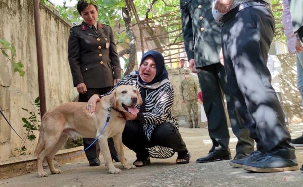 Foto - Şehit onbaşının gazi köpeği "Atmaca" ailesine sahiplendirildi
