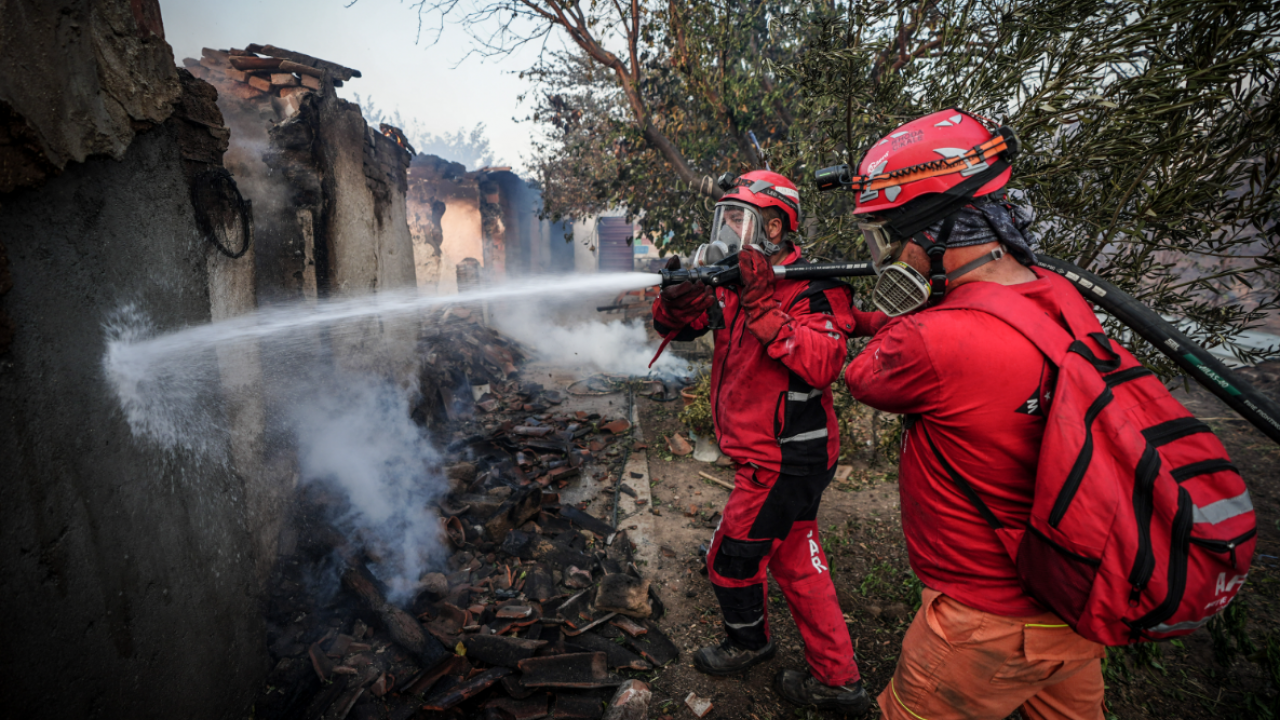 Foto - Şehitler yurdu Çanakkale'den kahreden görüntü