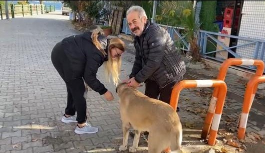 Foto - Şehre dadanan cins köpek hırsızları kıskıvrak yakalandı!