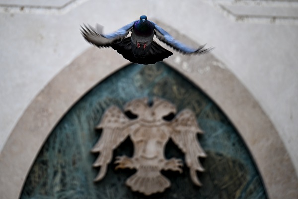 Foto - Şehrin en güzel misafirleri