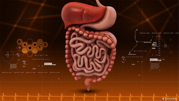 Foto - Şeker hakkında 8 gerçek!