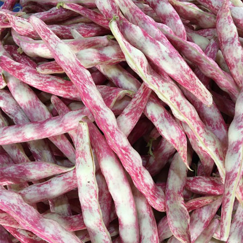 Foto - Şeker hastalarının barbunya tüketmesi için önemli nedenler