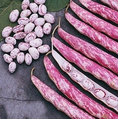 Foto - Şeker hastalarının barbunya tüketmesi için önemli nedenler