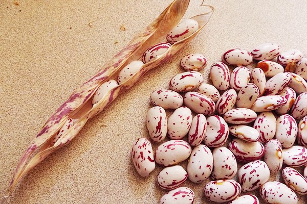 Foto - Şeker hastalarının barbunya tüketmesi için önemli nedenler
