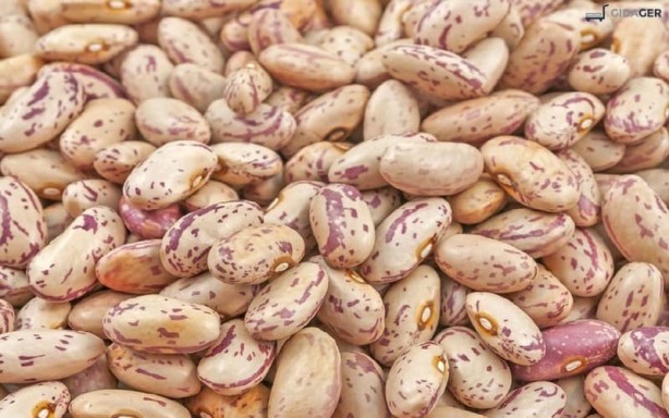 Foto - Şeker hastalarının barbunya tüketmesi için önemli nedenler