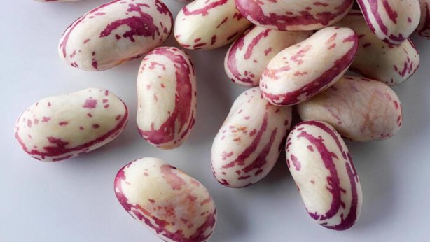 Foto - Şeker hastalarının barbunya tüketmesi için önemli nedenler