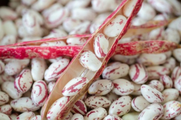Foto - Şeker hastalarının barbunya tüketmesi için önemli nedenler