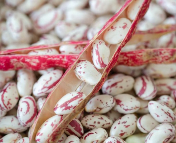 Şeker hastalarının barbunya tüketmesi için önemli nedenler