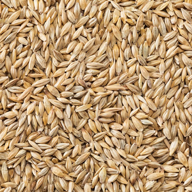 Foto - Şeker hastalığı olanlar için 12 ideal yiyecek