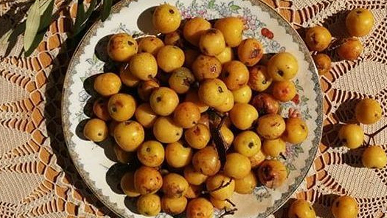 Foto - Üvez meyvesinin faydaları saymakla bitmiyor!