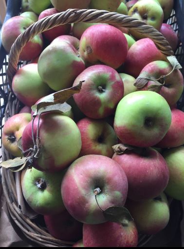 Şeker, kanser ve alzheimer ile savaşıyor