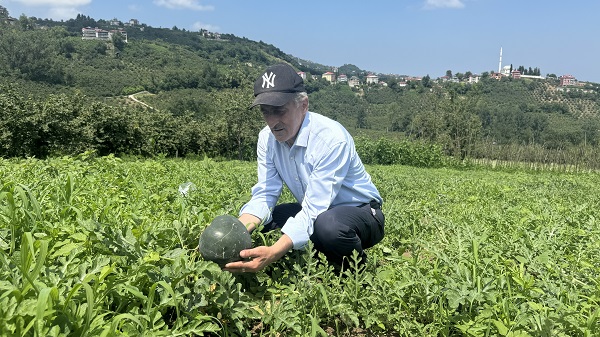 Foto - Şekilleri dikkat çekiyor! Talihsiz Temel'in yüzü karpuzdan güldü