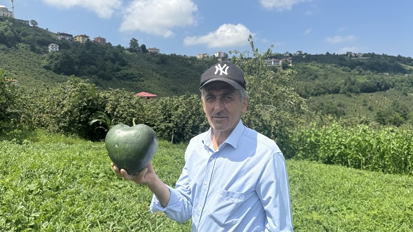 Foto - Şekilleri dikkat çekiyor! Talihsiz Temel'in yüzü karpuzdan güldü