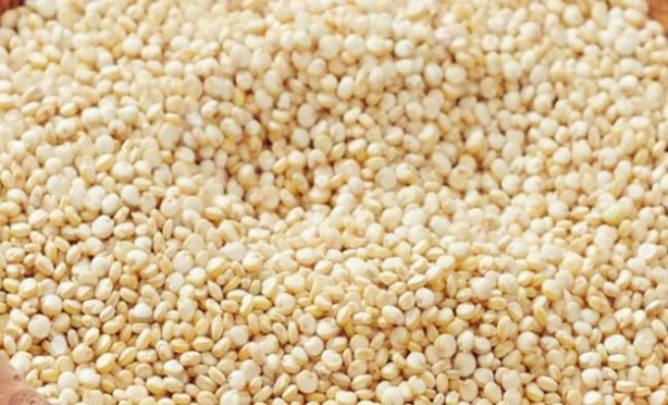 Foto - Sekiz yemek kaşığı bir pirzolaya denk