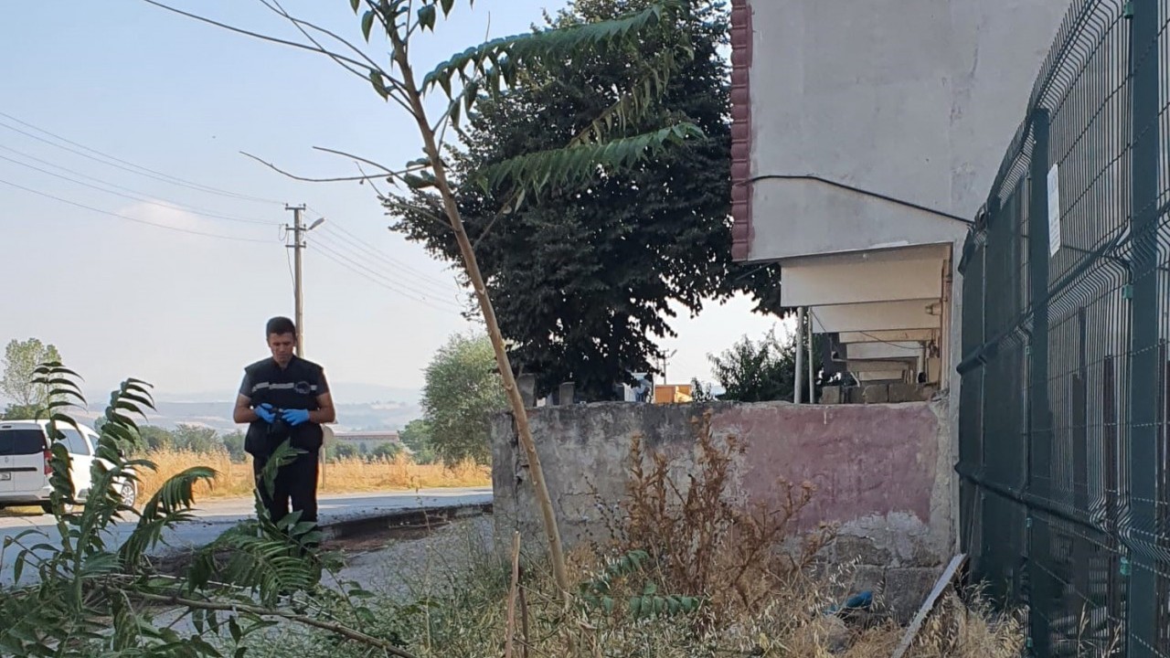 Foto - Seküler yaşam biçiminin eseri! Alkollü gecenin sonu kötü bitti