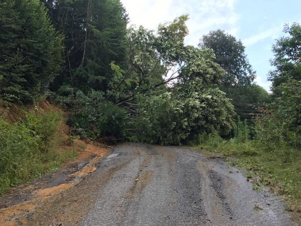 Foto - Sel afetinden sonra Yalpankaya Köyü/Sakarya