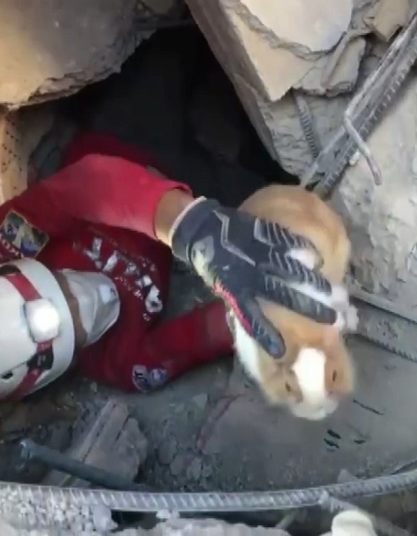 Foto - Sel anında sakın bu hataları yapmayın