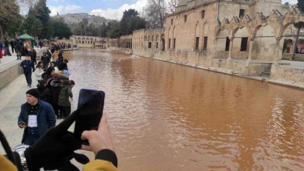 Foto - Sel felaketi sonrası Balıklıgöl'deki balıklar ortadan kaybolmuştu! Bugün gelen kareler herkesi şok etti