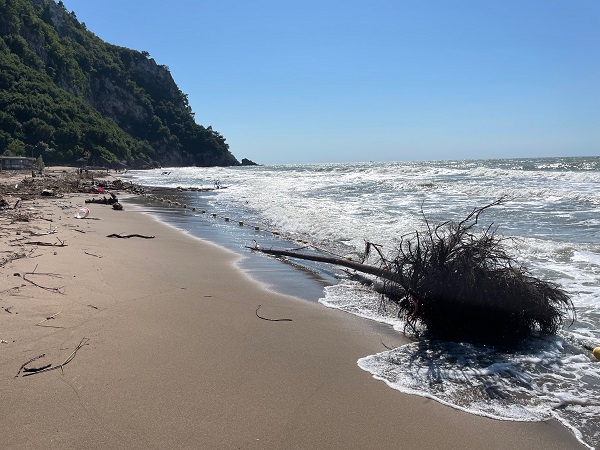 Foto - Sel, İnkumu sahilini bu hale getirdi