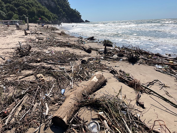 Foto - Sel, İnkumu sahilini bu hale getirdi