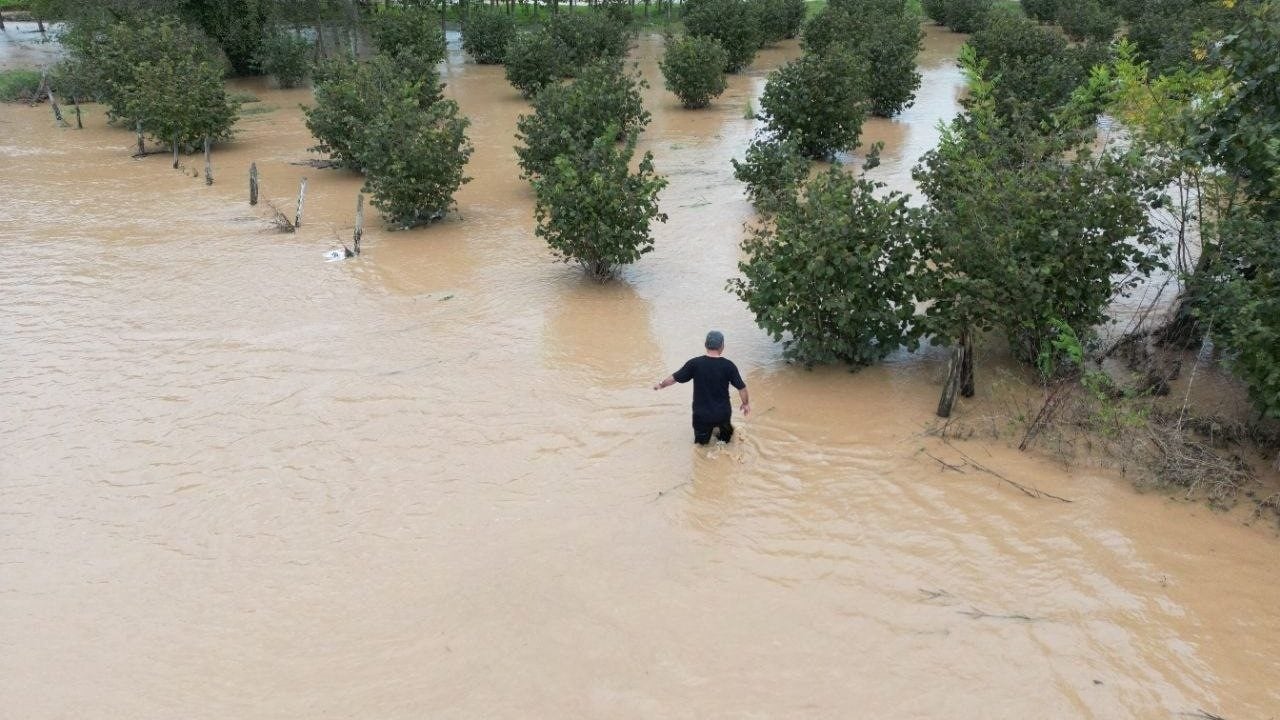 Foto - Sel suları bir mahalleyi yuttu! Feci görüntüler geldi
