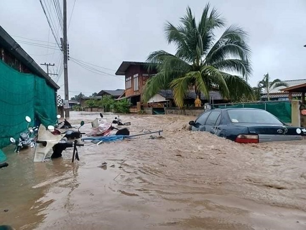 Foto - Sel suları köprüyü böyle yıktı