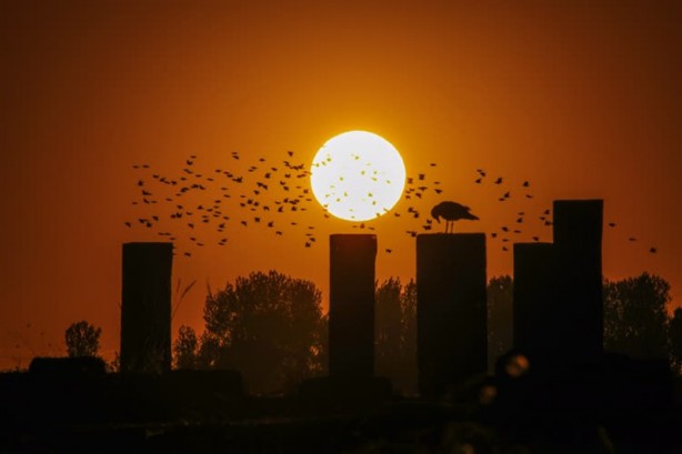 Foto - Selçuklu Meydan Mezarlığı tarihe ışık tutuyor